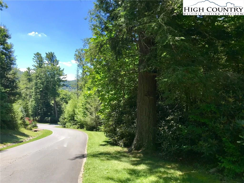 Image number 3 for the current listing