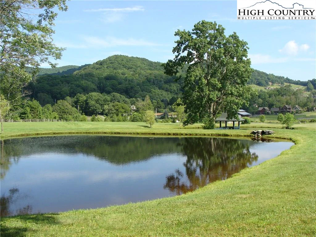 Image number 7 for the current listing