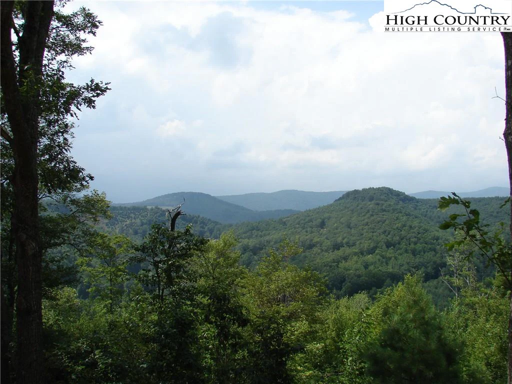 Image number 1 for the current listing