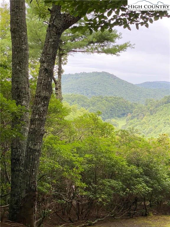Image number 4 for the current listing