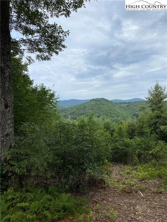 Image number 5 for the current listing