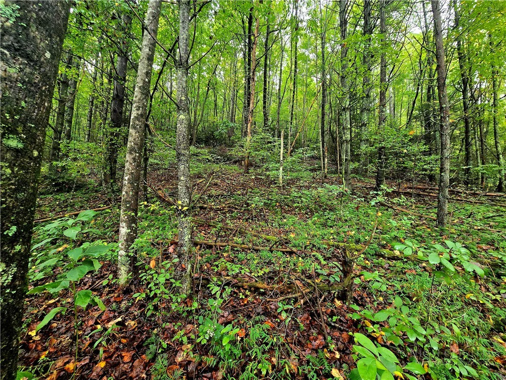 Image number 3 for the current listing
