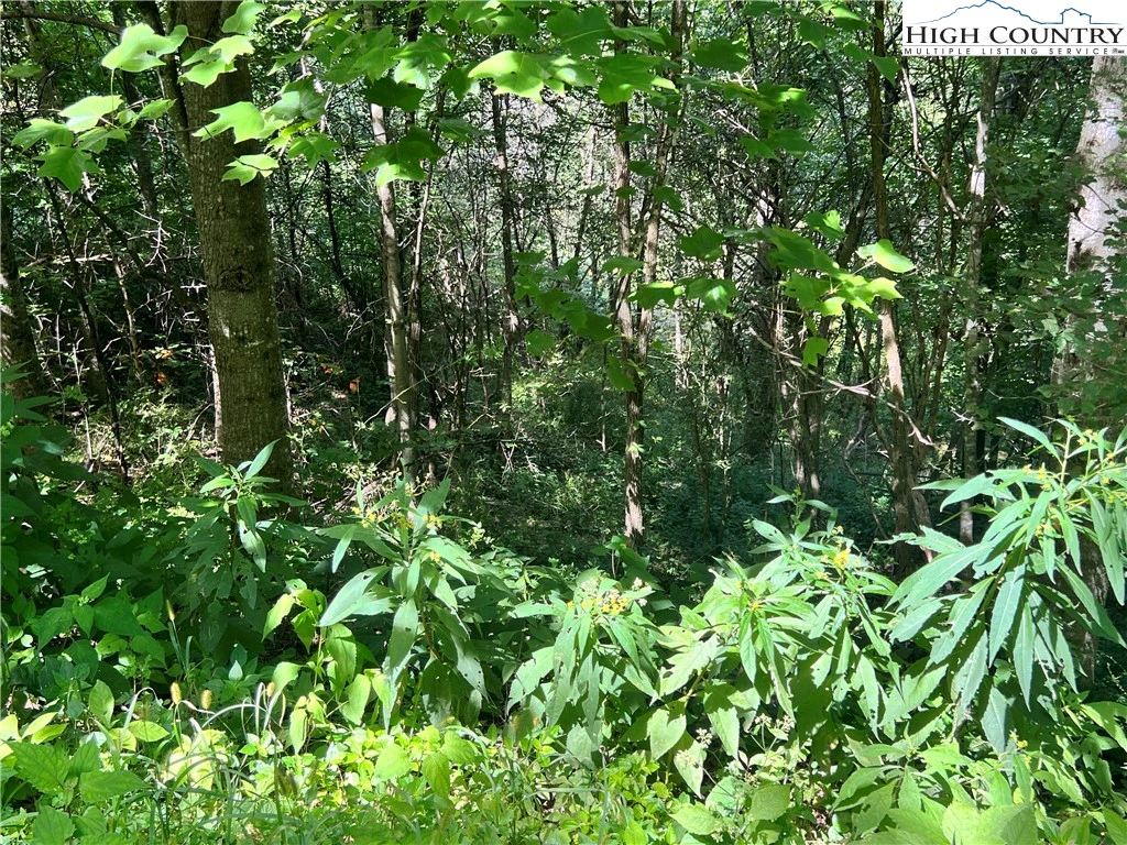 Image number 1 for the current listing