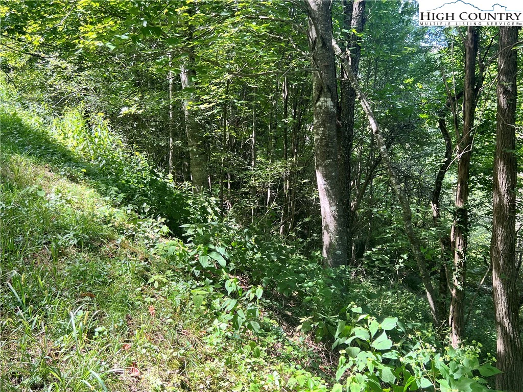 Image number 3 for the current listing