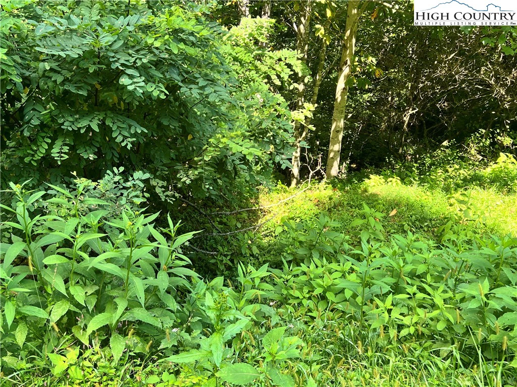 Image number 2 for the current listing