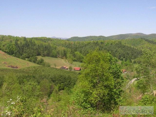 Image number 1 for the current listing