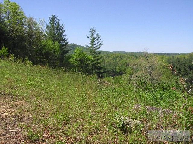Image number 3 for the current listing