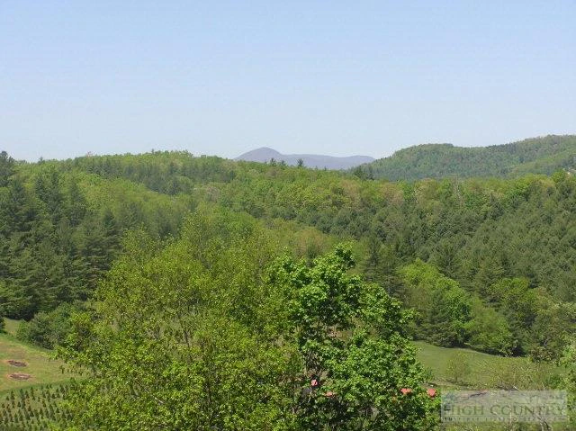 Image number 4 for the current listing