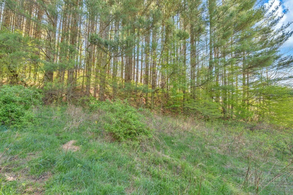 Image number 3 for the current listing