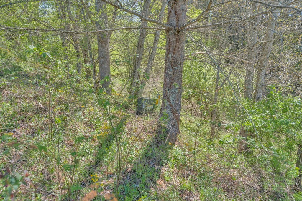 Image number 6 for the current listing