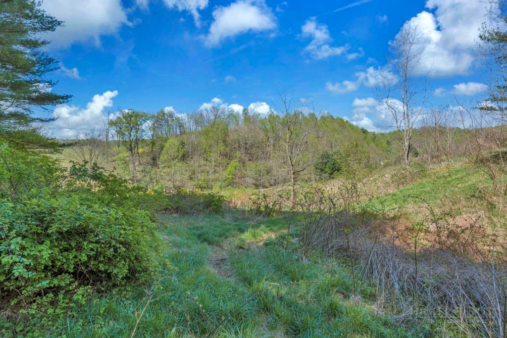 Image number 4 for the current listing
