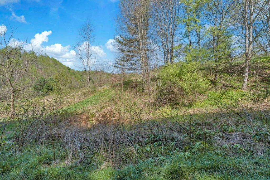 Image number 5 for the current listing