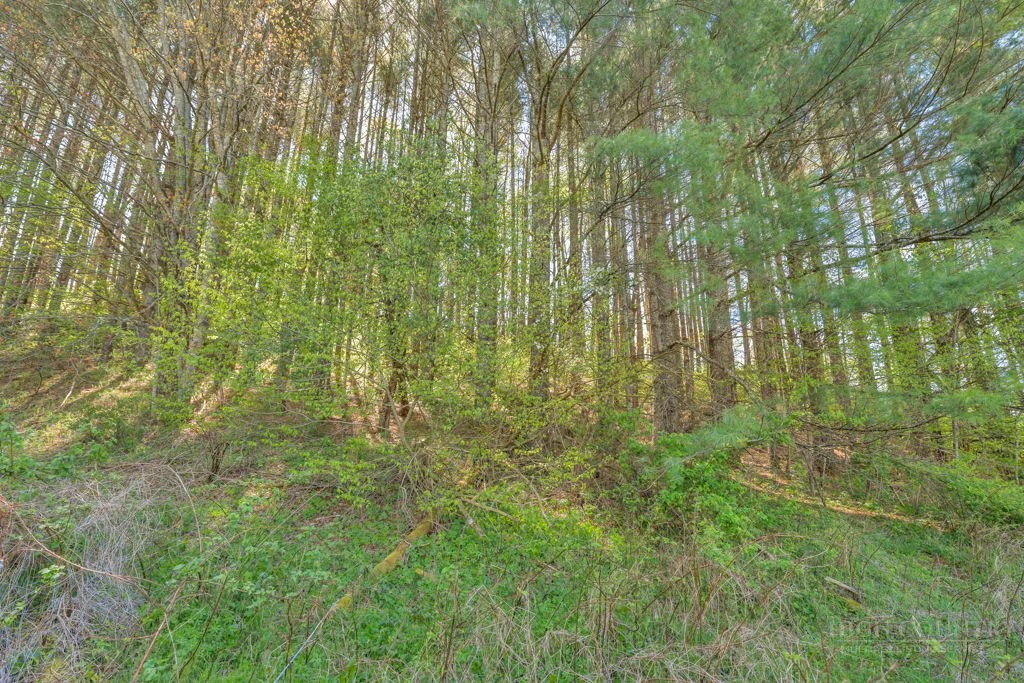 Image number 9 for the current listing