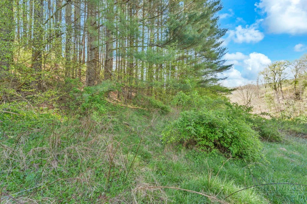 Image number 10 for the current listing