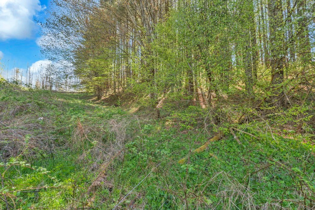 Image number 11 for the current listing