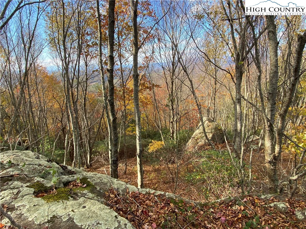 Image number 11 for the current listing