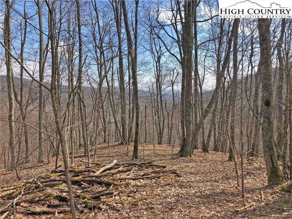 Image number 1 for the current listing