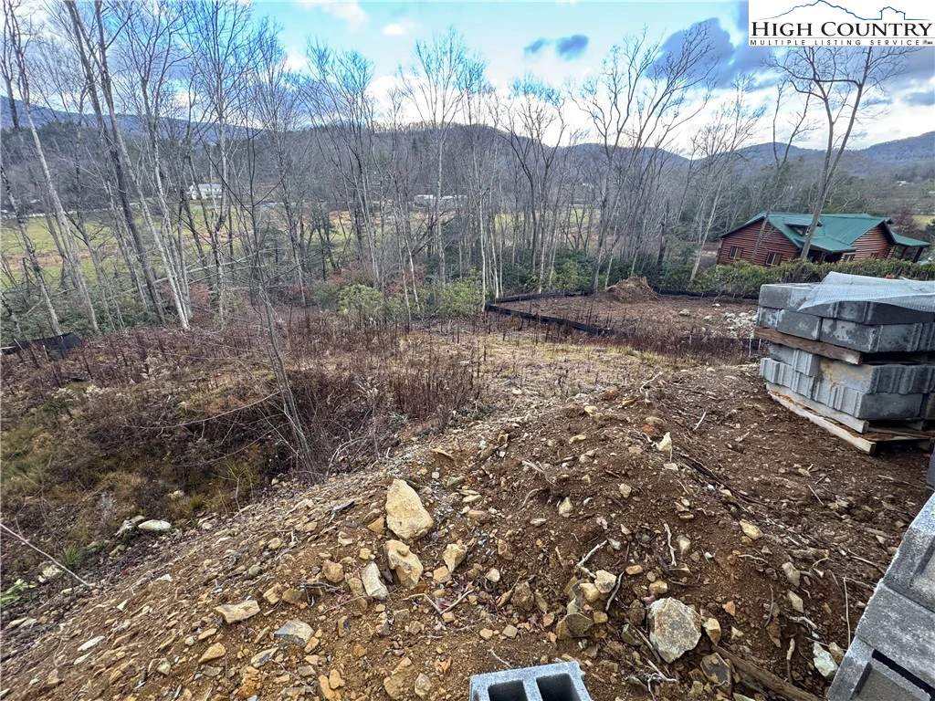 Image number 1 for the current listing