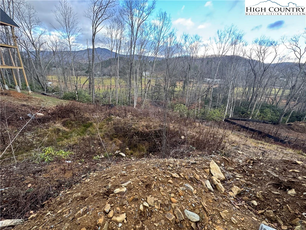 Image number 3 for the current listing