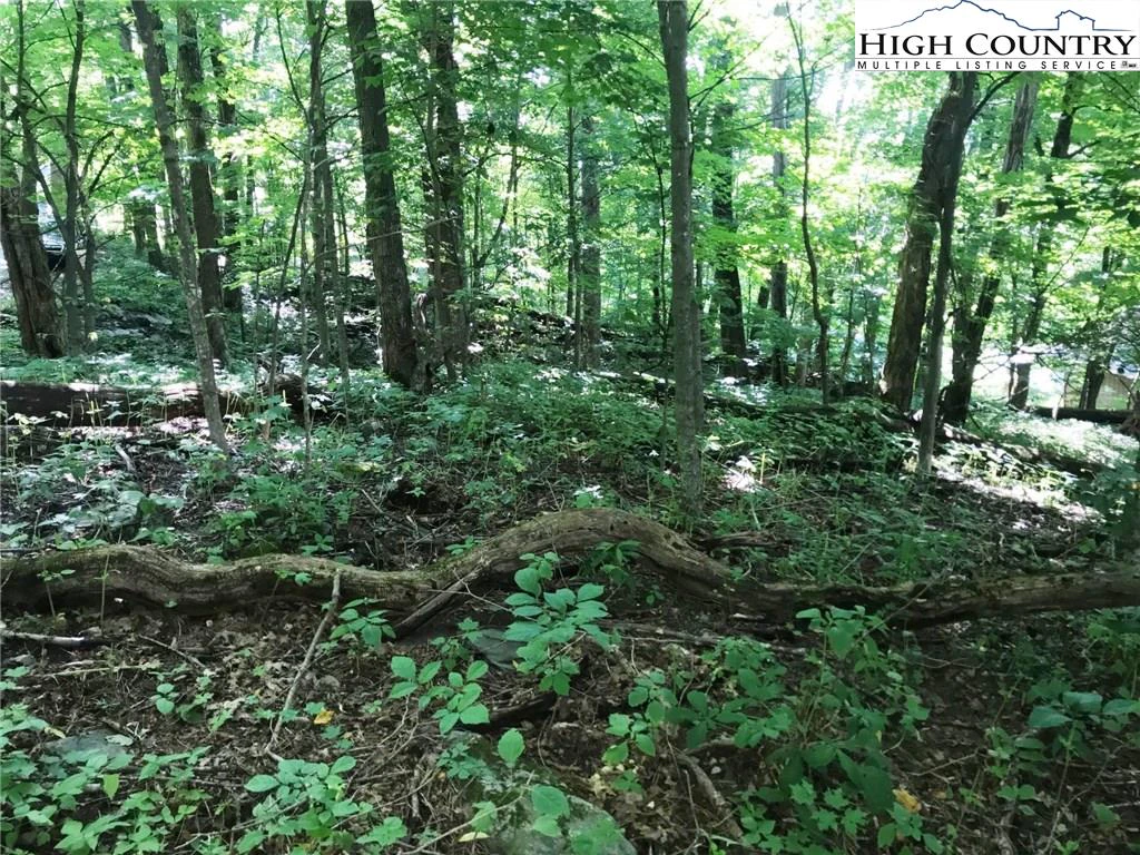 Image number 1 for the current listing