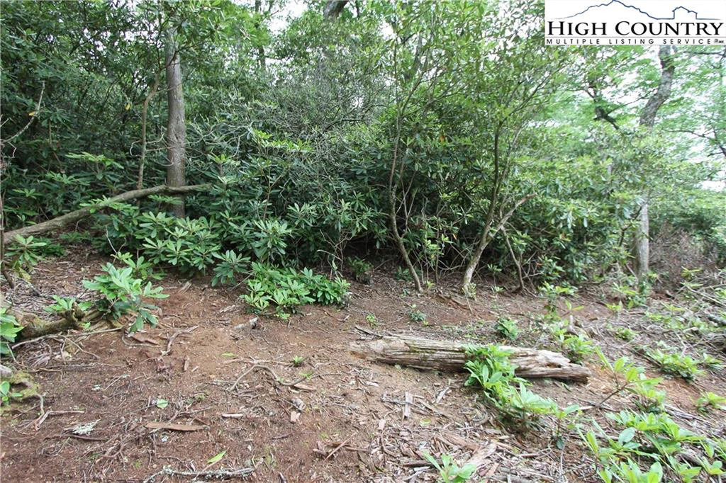 Image number 1 for the current listing