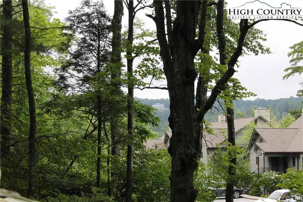 Image number 11 for the current listing