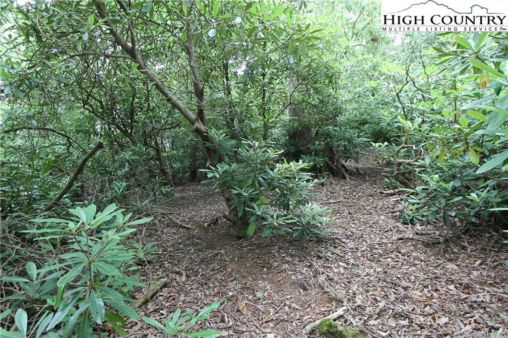 Image number 5 for the current listing