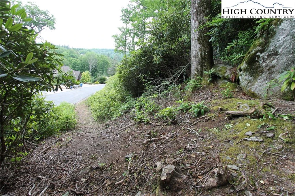 Image number 6 for the current listing