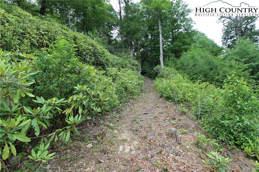 Image number 7 for the current listing