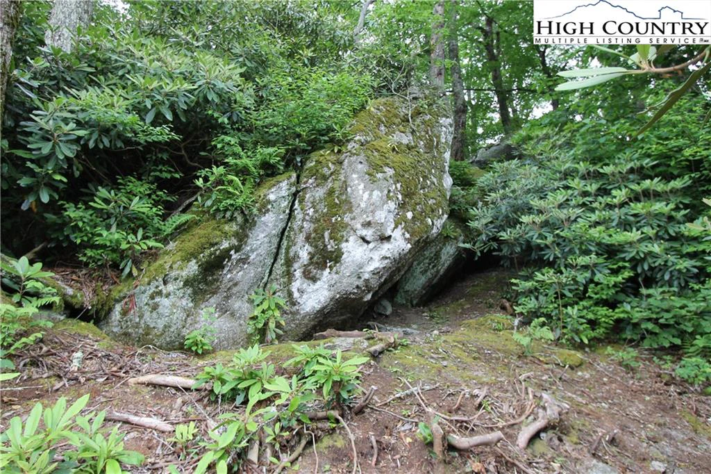 Image number 8 for the current listing