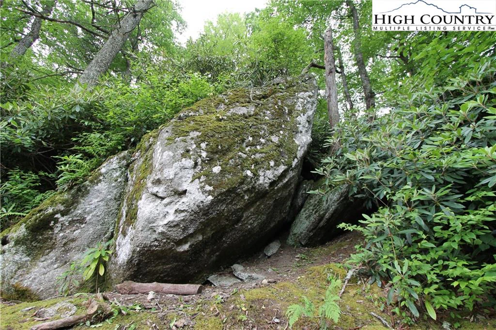 Image number 9 for the current listing