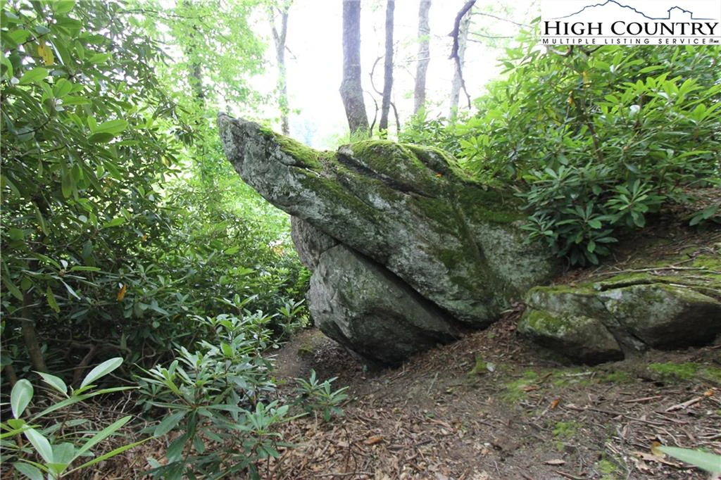 Image number 10 for the current listing