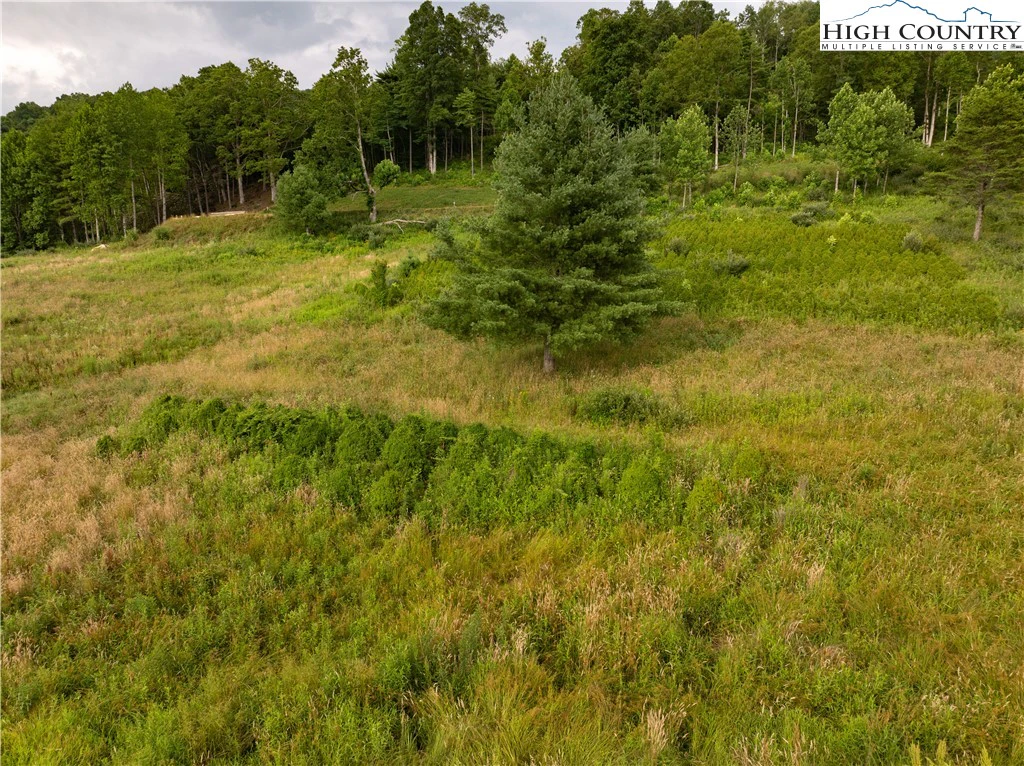 Image number 2 for the current listing