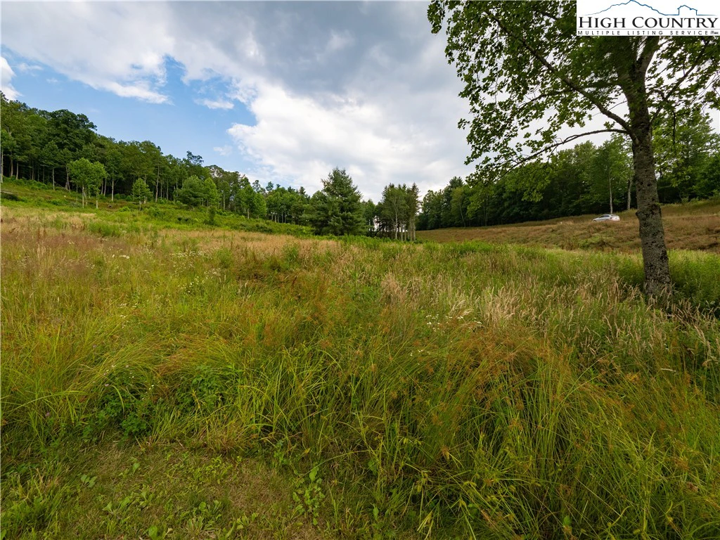Image number 14 for the current listing