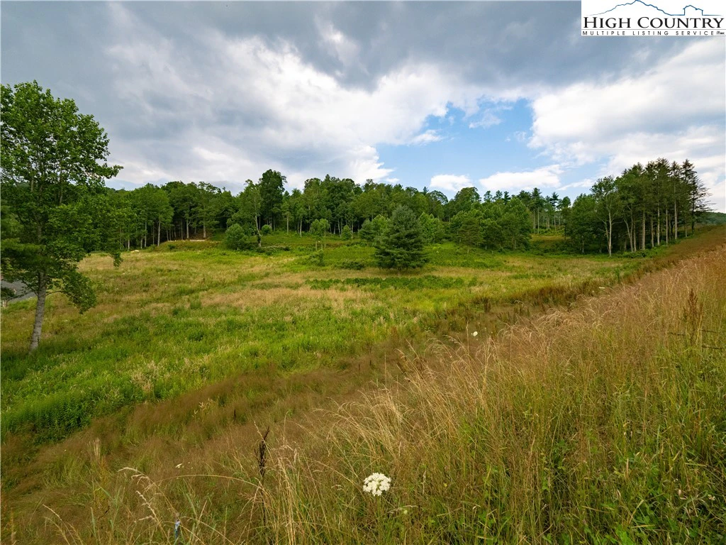 Image number 13 for the current listing