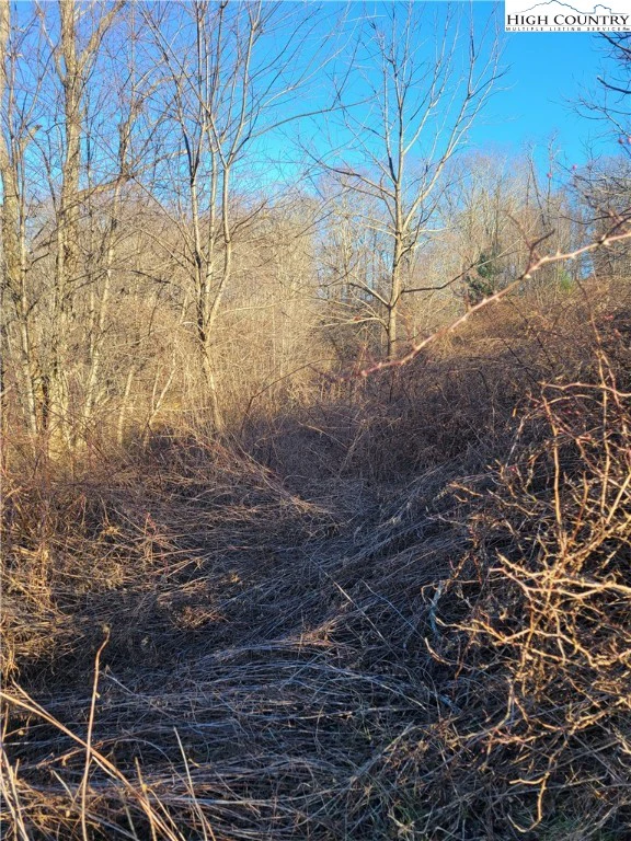 Image number 1 for the current listing