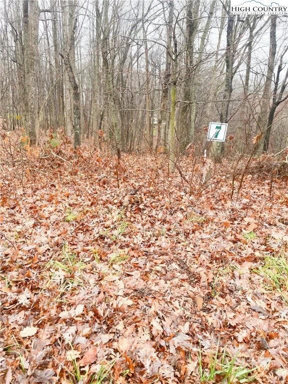 Image number 3 for the current listing