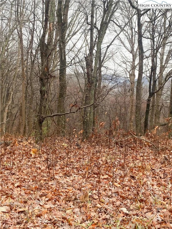 Image number 9 for the current listing