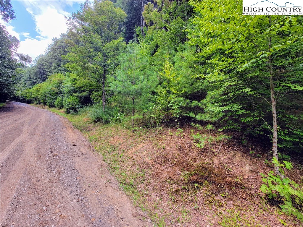 Image number 15 for the current listing