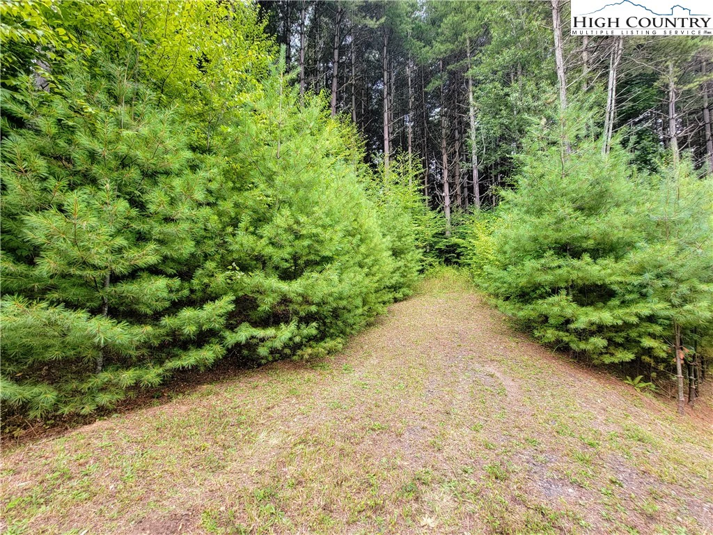 Image number 14 for the current listing