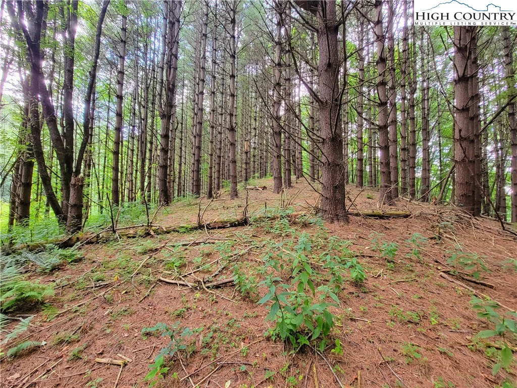 Image number 10 for the current listing
