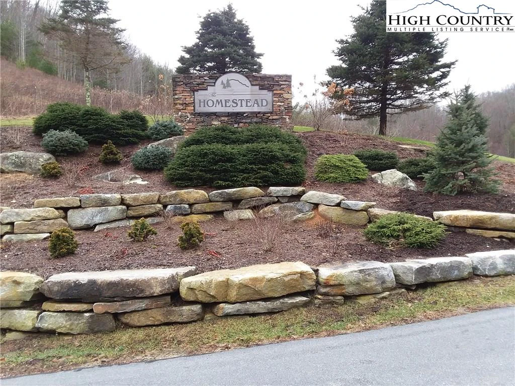 Image number 1 for the current listing