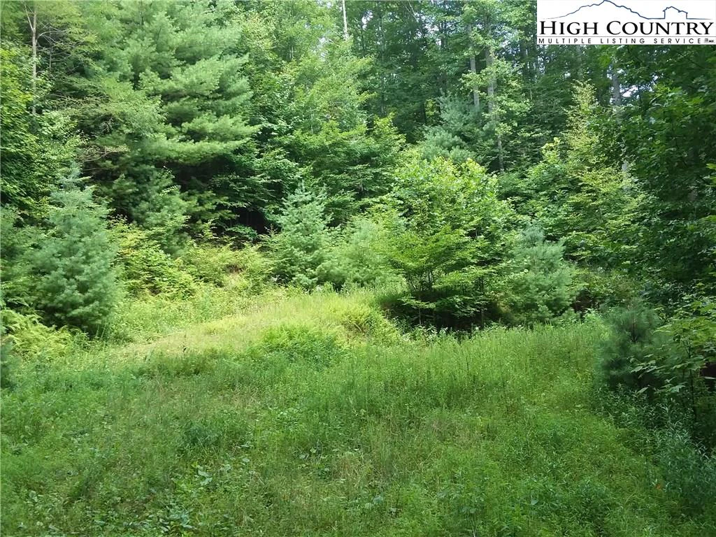 Image number 3 for the current listing