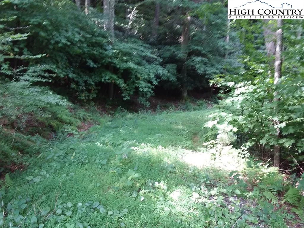 Image number 4 for the current listing