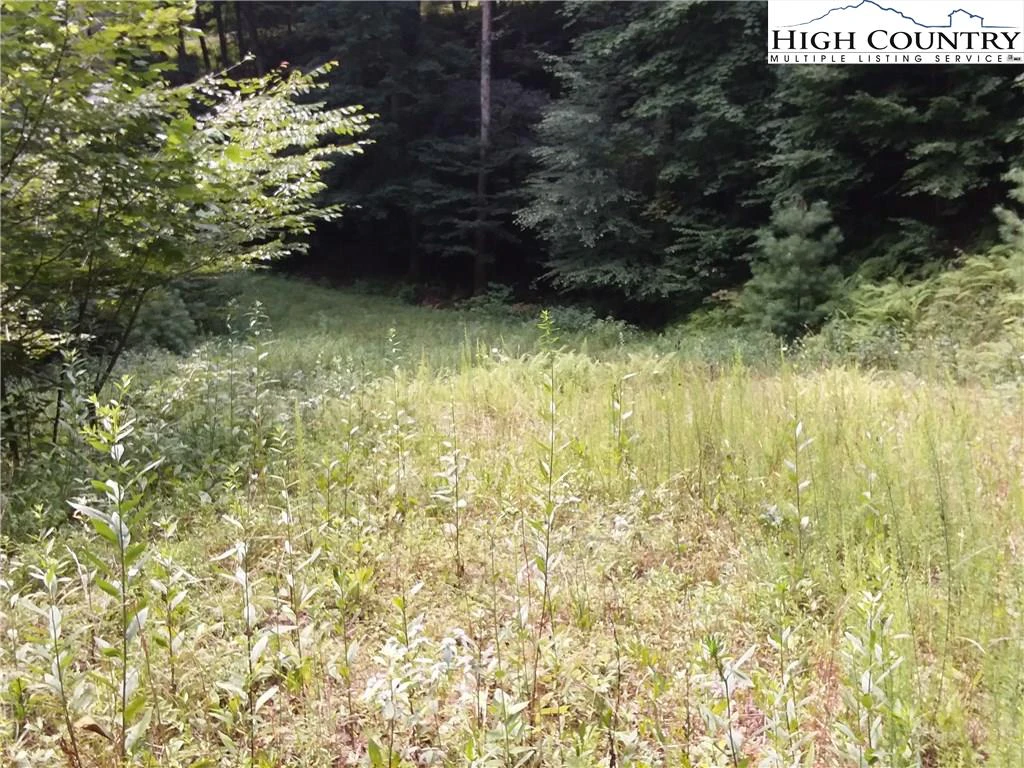 Image number 5 for the current listing