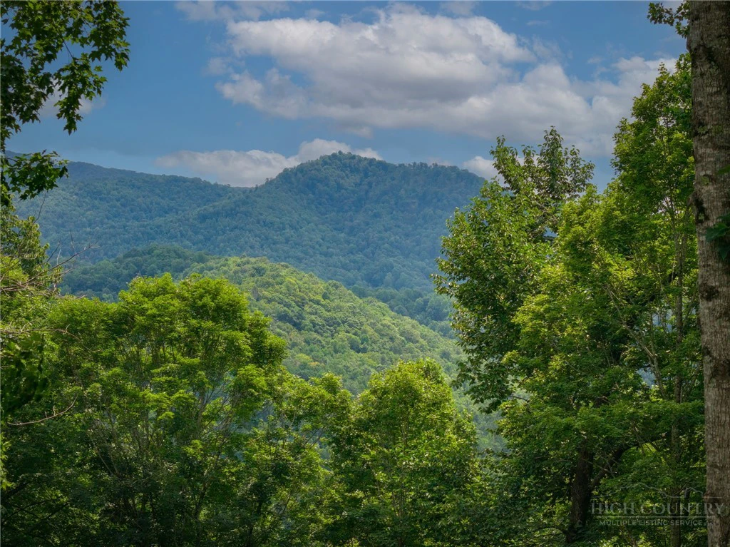 Image number 1 for the current listing