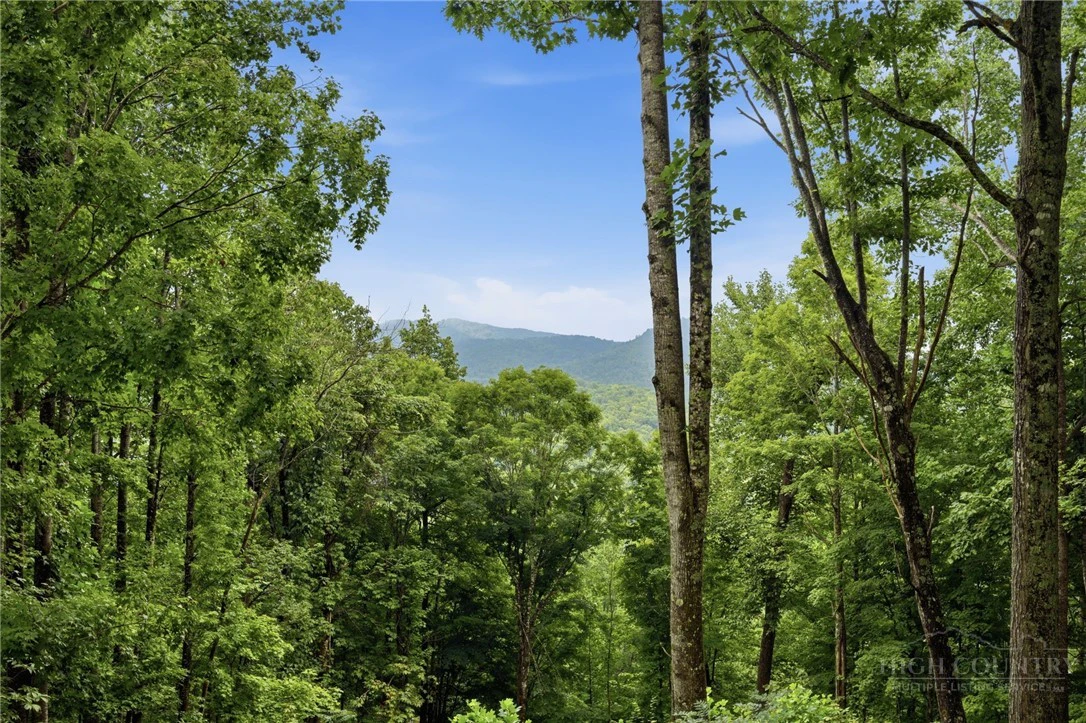 Image number 2 for the current listing