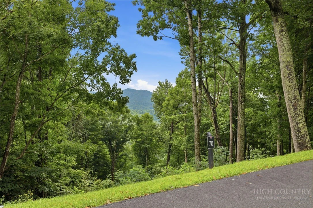Image number 6 for the current listing