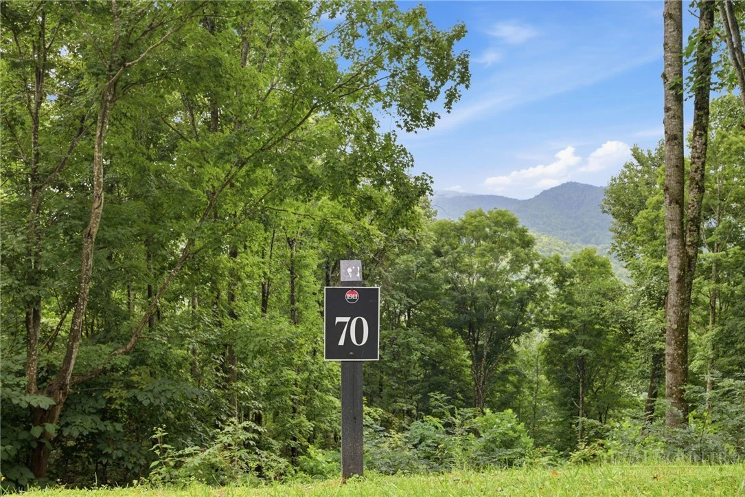 Image number 7 for the current listing