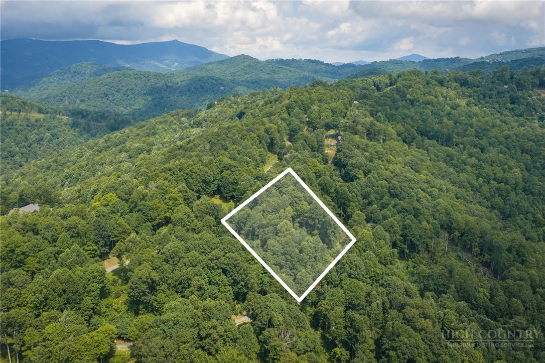 Image number 12 for the current listing